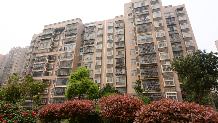 洋湖景园外景图