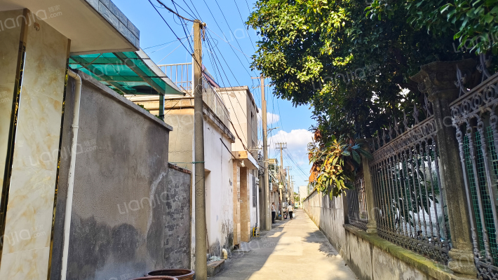 连新九弄外景图