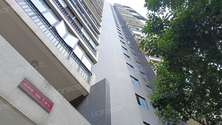 东风凤凰城外景图