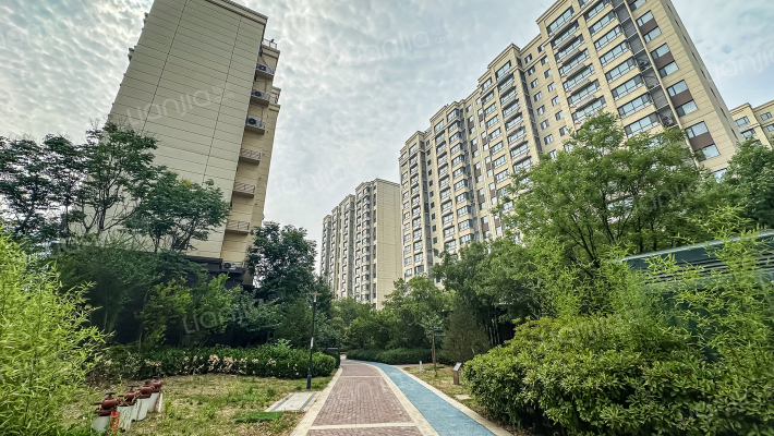 金基悦麓外景图