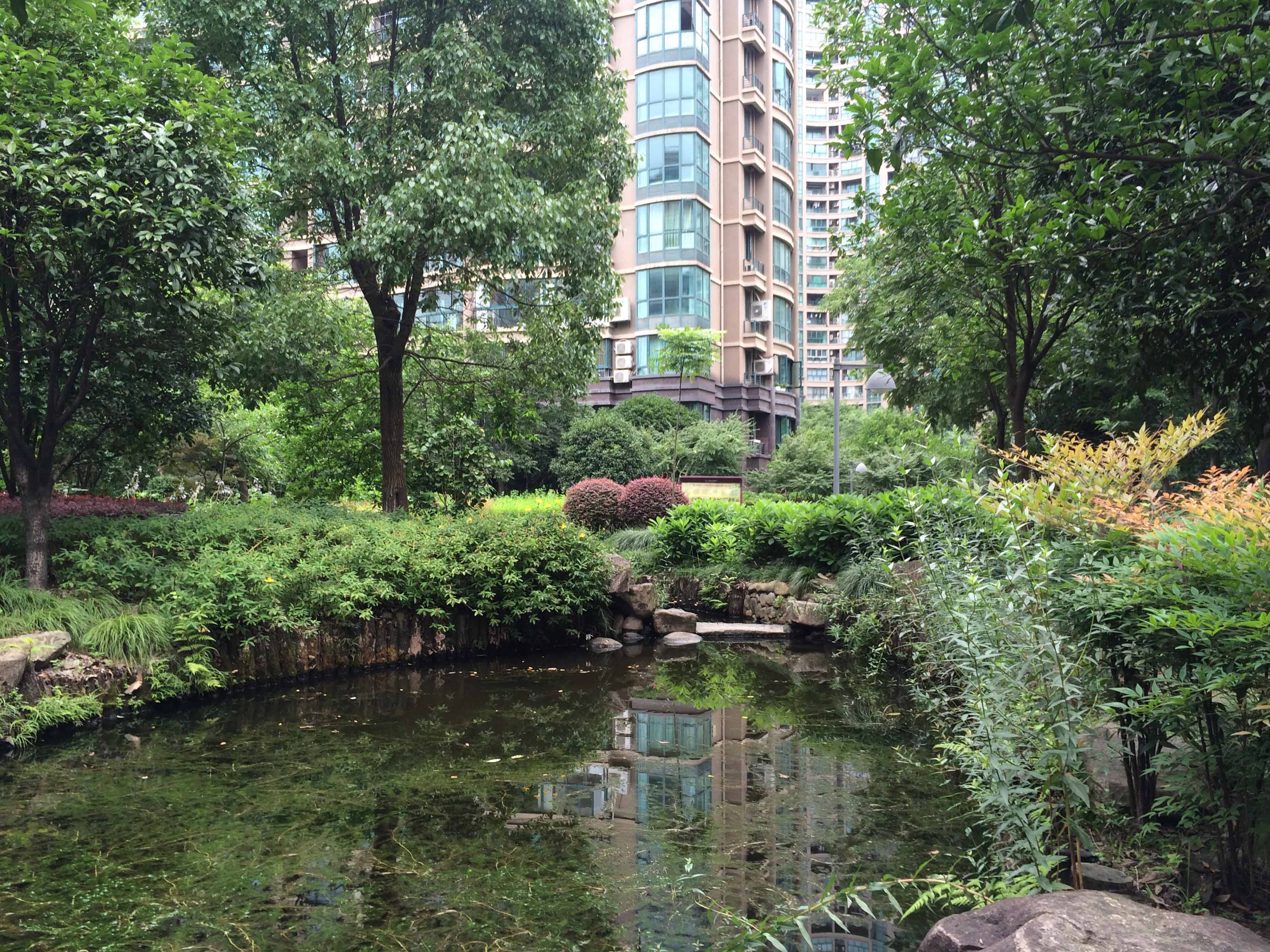 Chunjiang Shidai compound photo 28