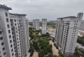 东尚名品户型图实景图
