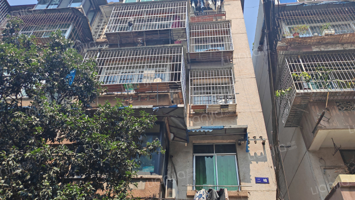 龙平路63号外景图