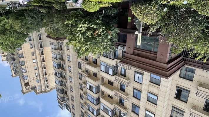 蓝光公园1号外景图