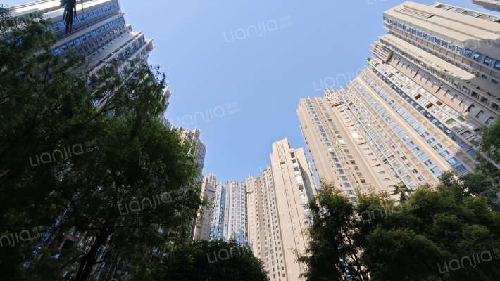 南湖半岛外景图