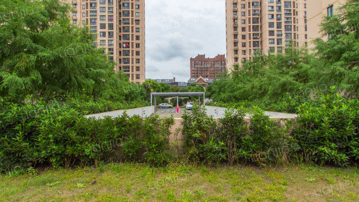 白沙东苑外景图