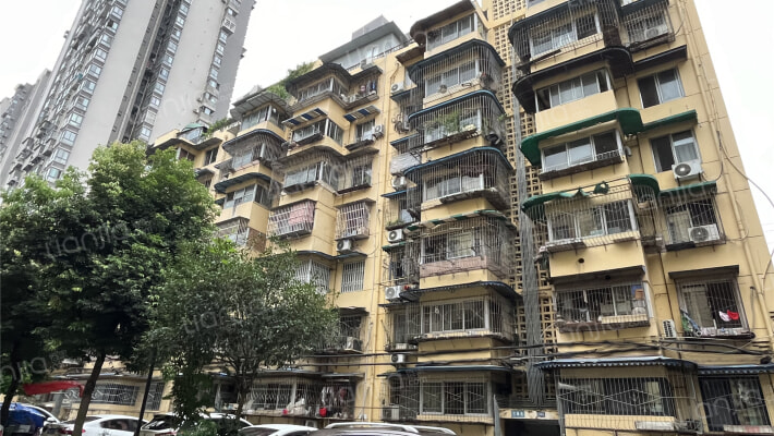 东光街13号外景图