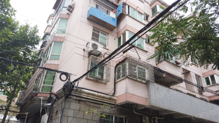 龙蟠花苑外景图