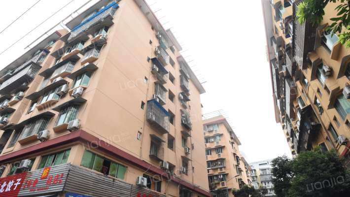 双凤桥支路外景图