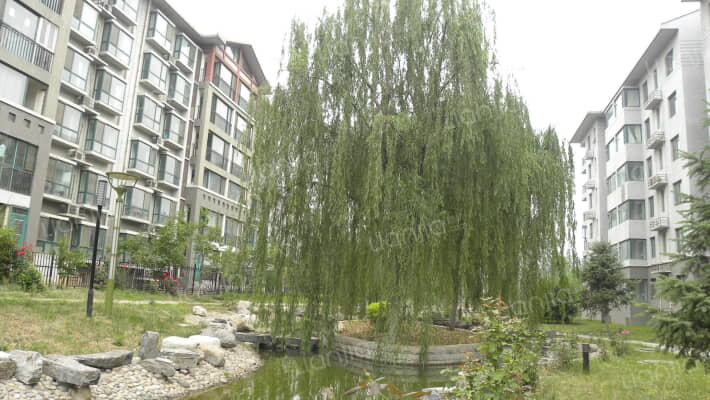 腾龙家园五区外景图