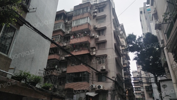 农本新村外景图