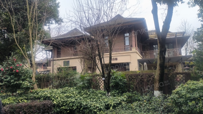 龙湖小院青城外景图