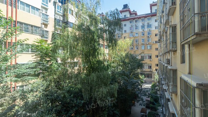 金街坊花园外景图