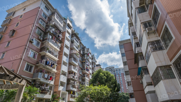 南台新苑玫瑰园外景图