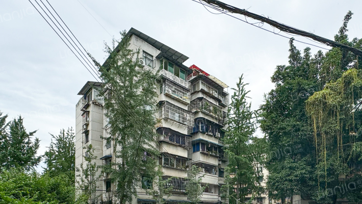 银杏苑(郫都)外景图