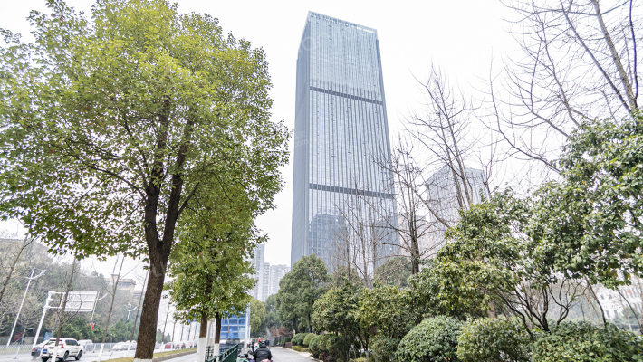 建鸿达兴业IEC外景图
