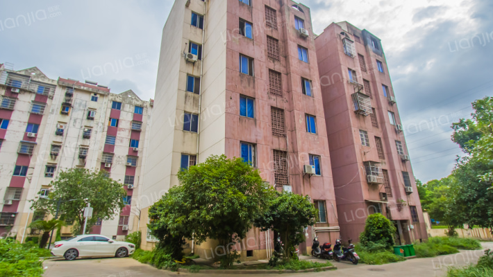 京东小区D区外景图