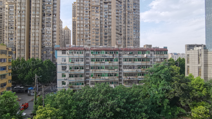 大通路7号外景图