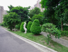 桂林奥林匹克花园实景图
