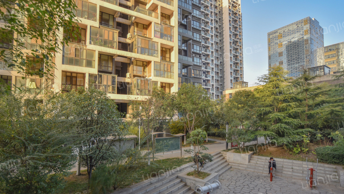 美景菩提外景图