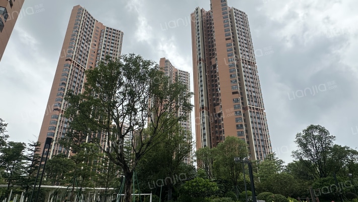 珠江花城外景图