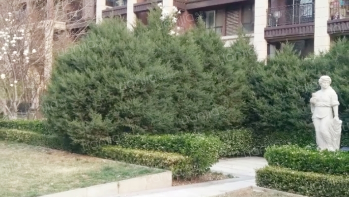 北京城建琨廷北区外景图