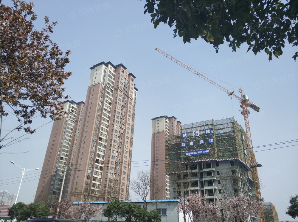 曲江国风世家相册