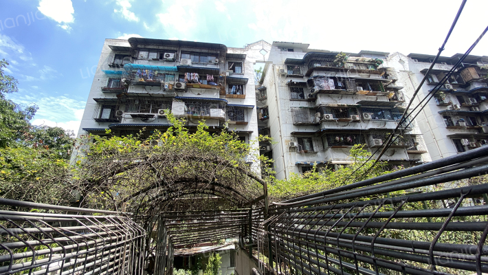 棕南西街7号外景图