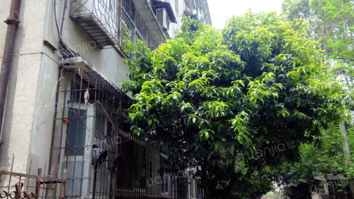 江大路2号外景图