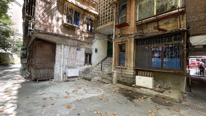 鲤鱼街63号外景图