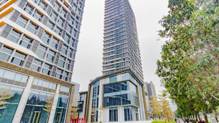 越秀天珹外景图