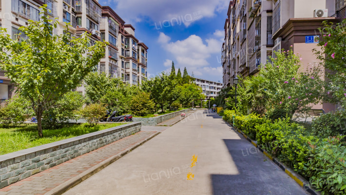 银江花园外景图