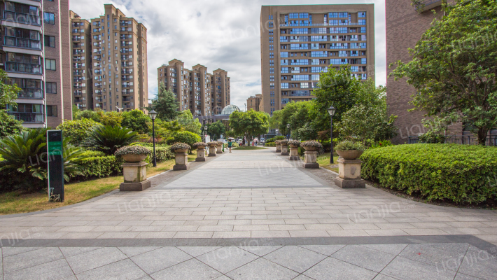 柳岸晨韵外景图