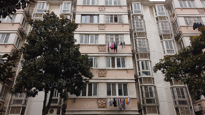 楓林新寓外景图