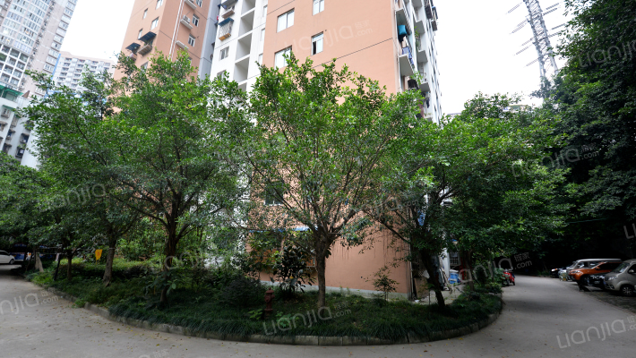 阳光烟雨外景图