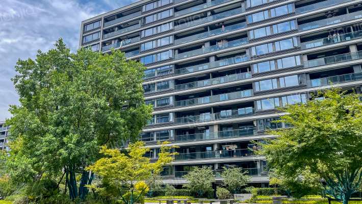 春来雅庭外景图