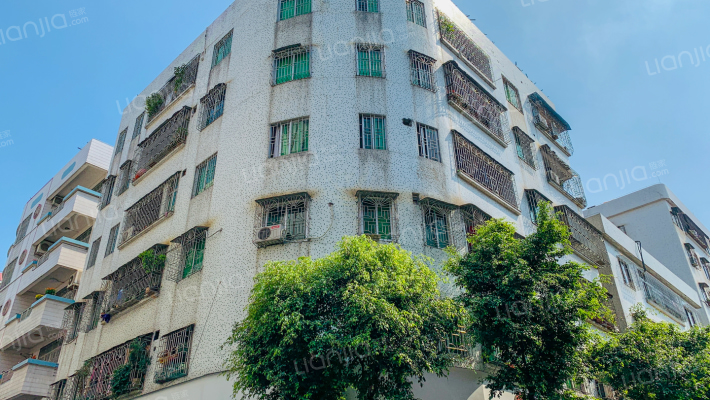 罗村信兴楼外景图