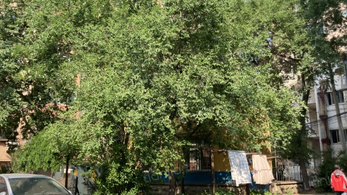 平安馨园外景图