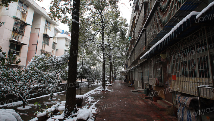 湖开小区外景图