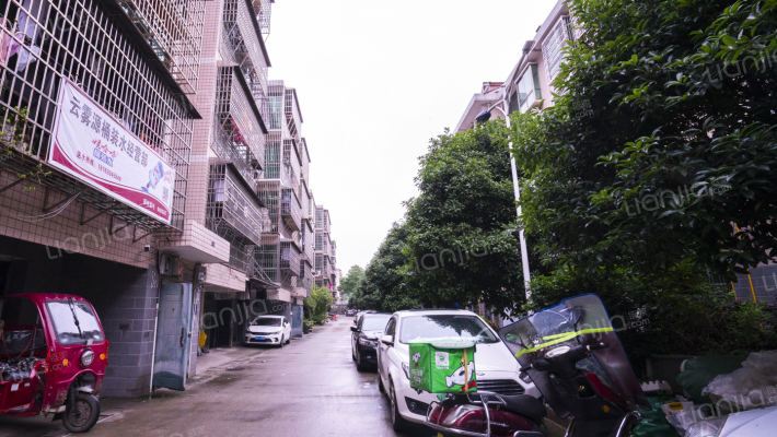 桃阳小区外景图