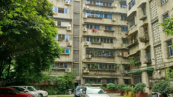 青华路24号外景图