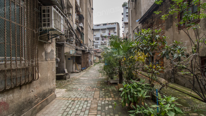 前进四路143到145号外景图