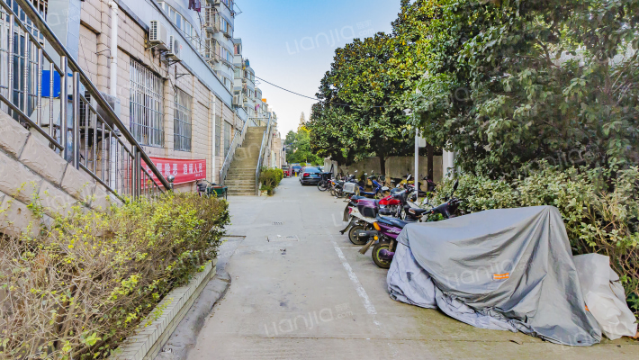 桥林兴桥家园外景图