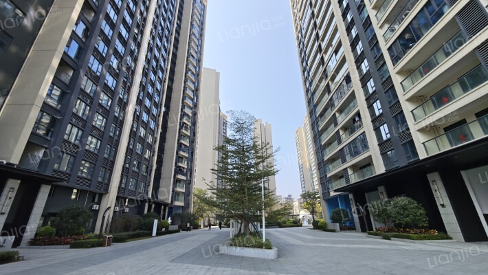 湾上一品外景图