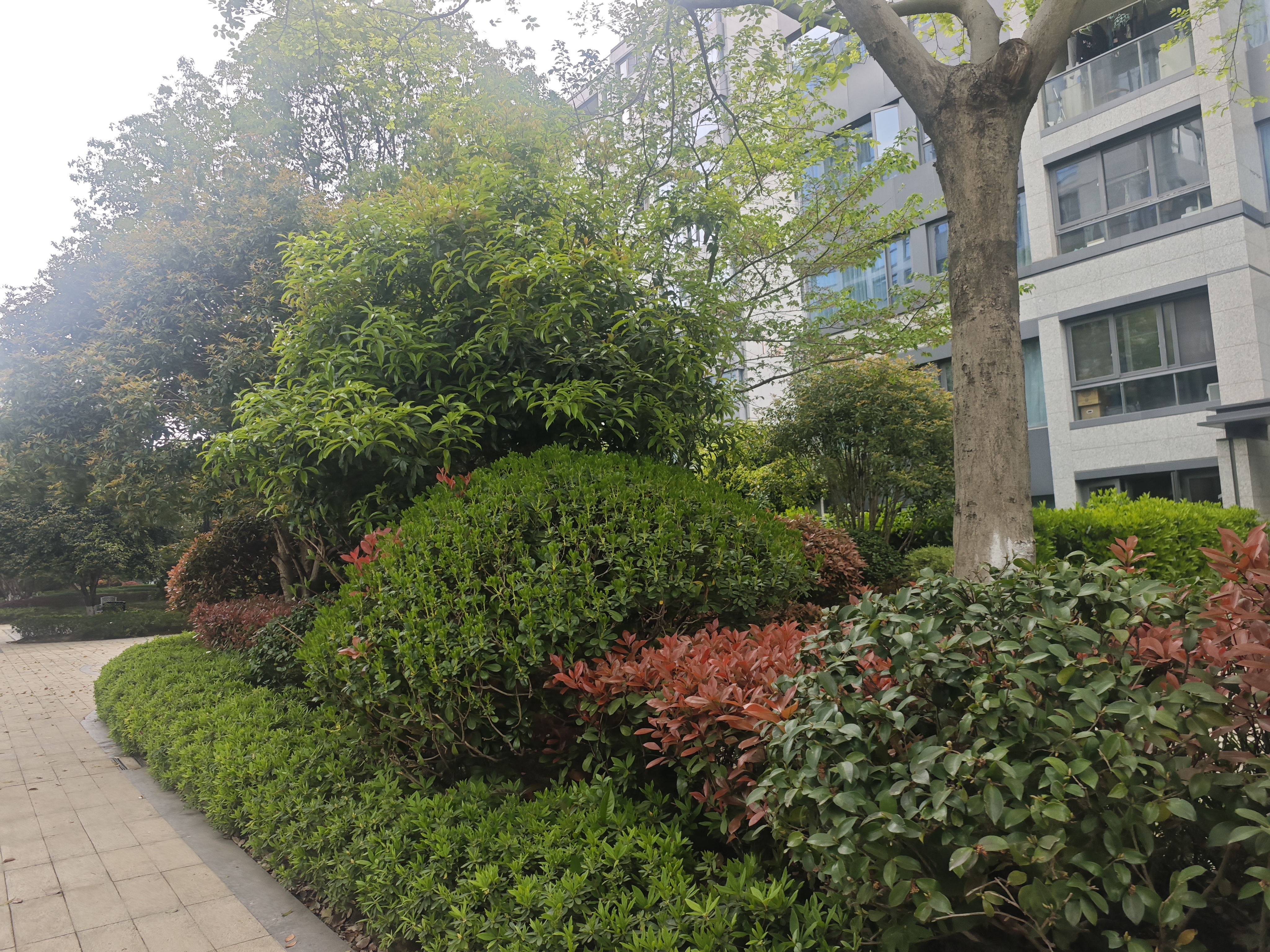 钱江彩虹府小区实景 6