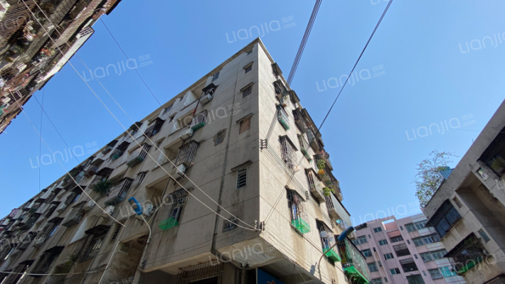 荷美四巷外景图