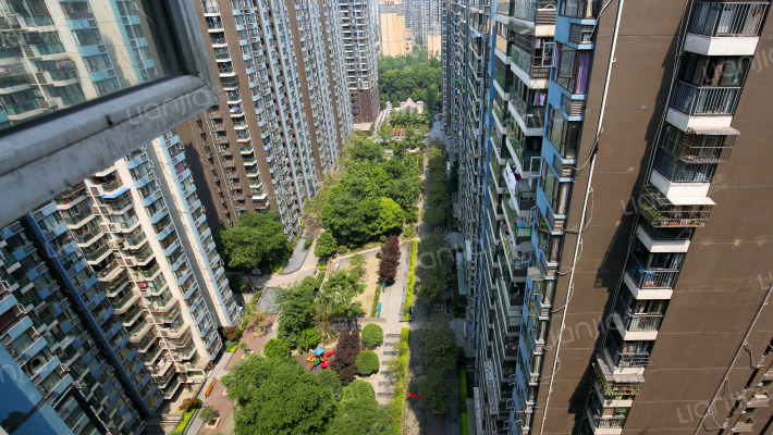 金阳易诚国际外景图