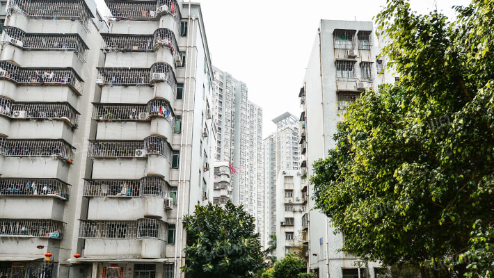 星湖花园外景图