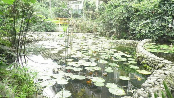 星科北街2号外景图