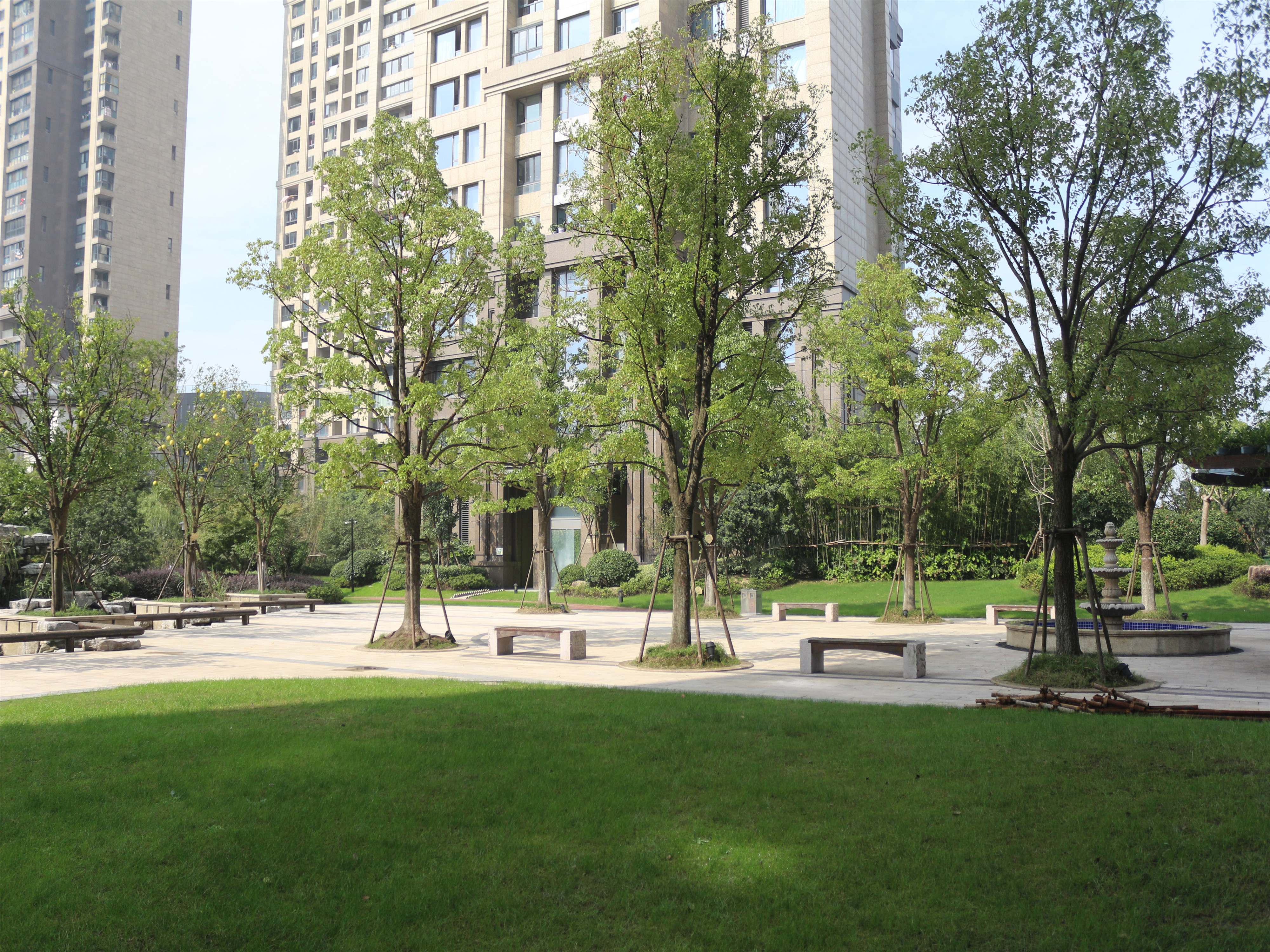 Qiantang Royal compound photo 23